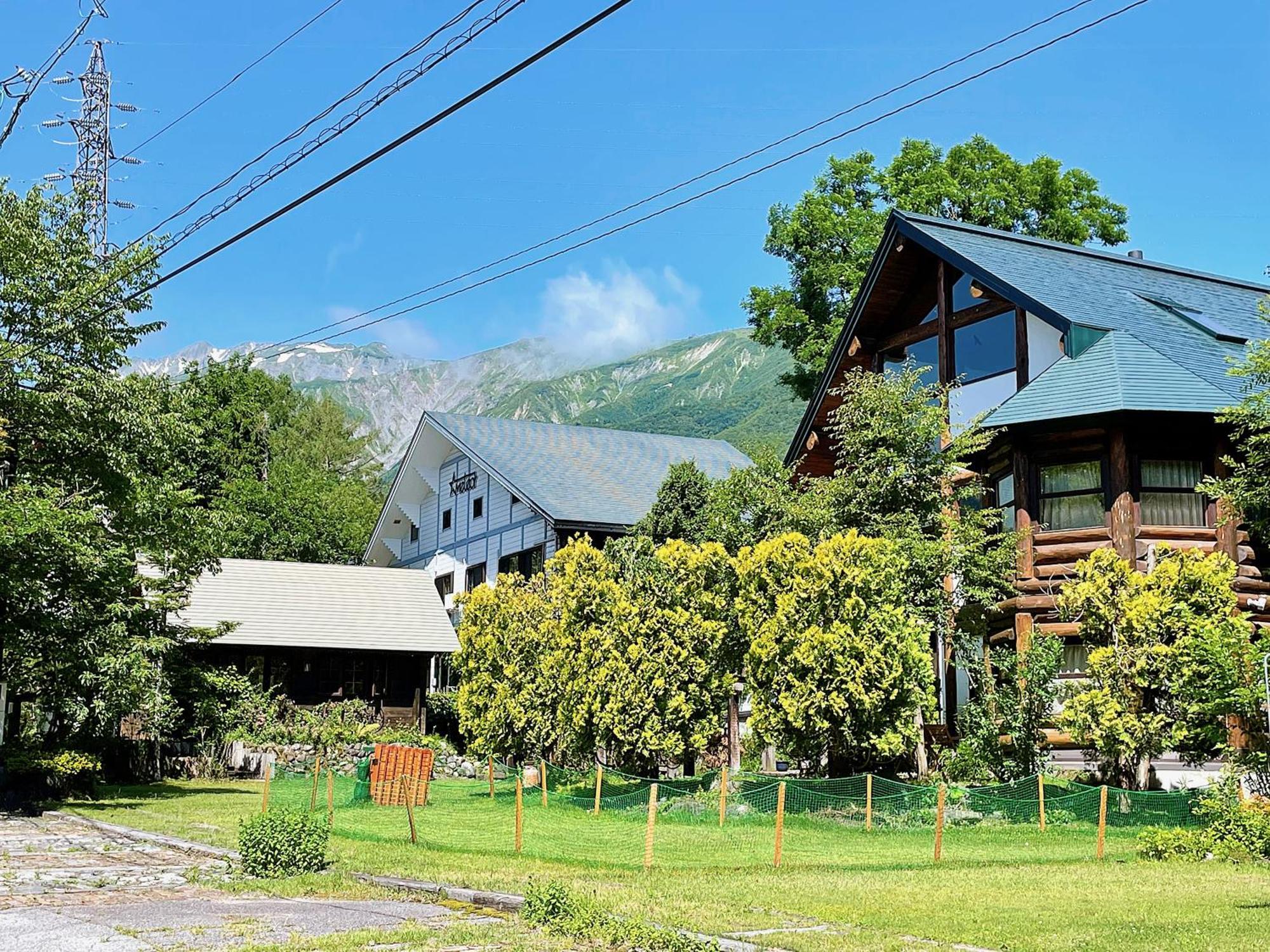 Hakuba Pension & Log Hotel Meteor Extérieur photo