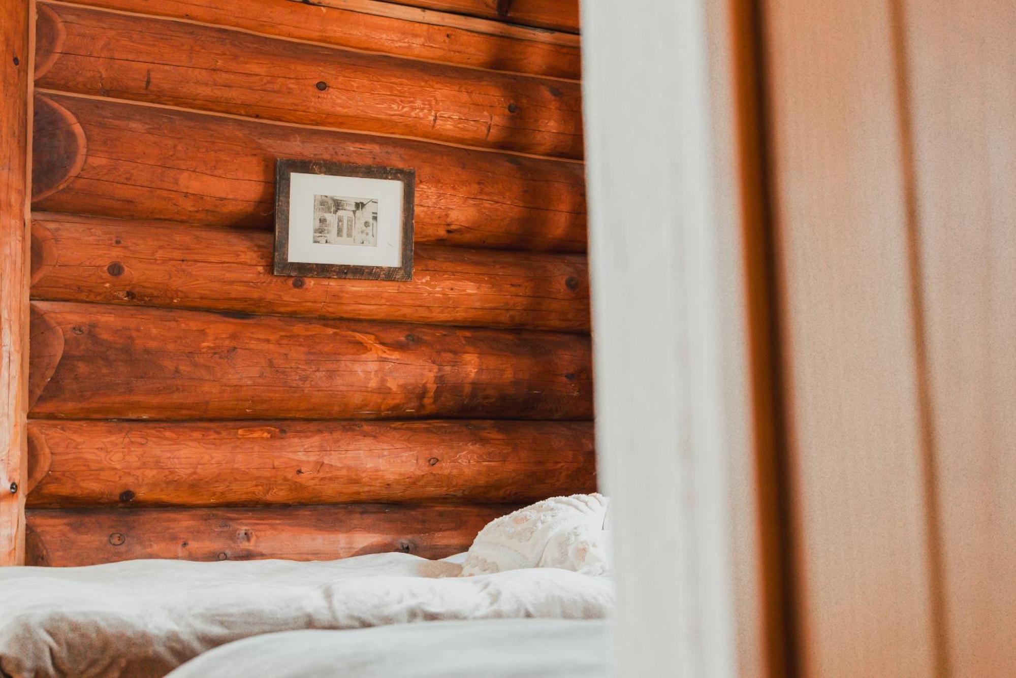 Hakuba Pension & Log Hotel Meteor Extérieur photo
