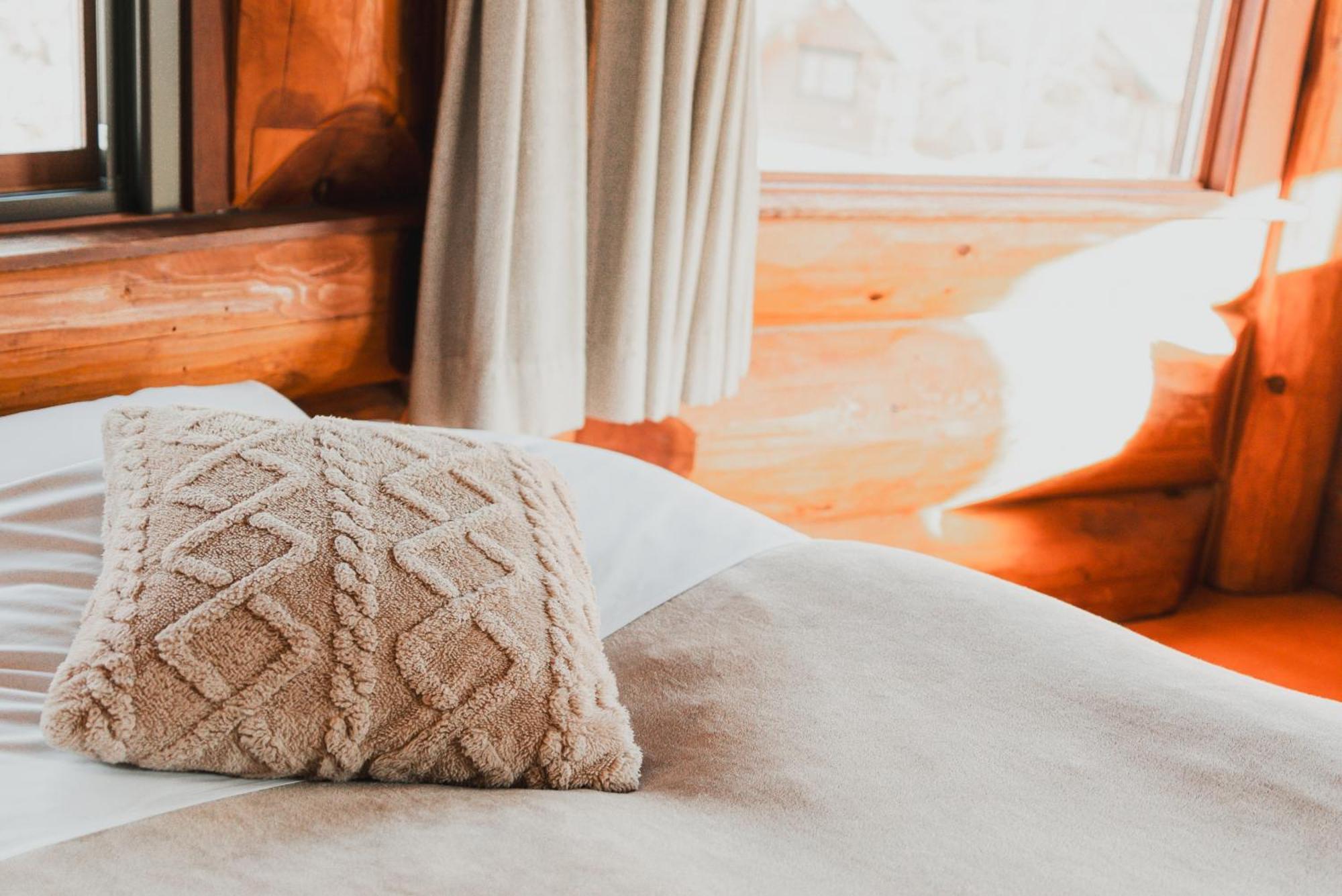 Hakuba Pension & Log Hotel Meteor Extérieur photo