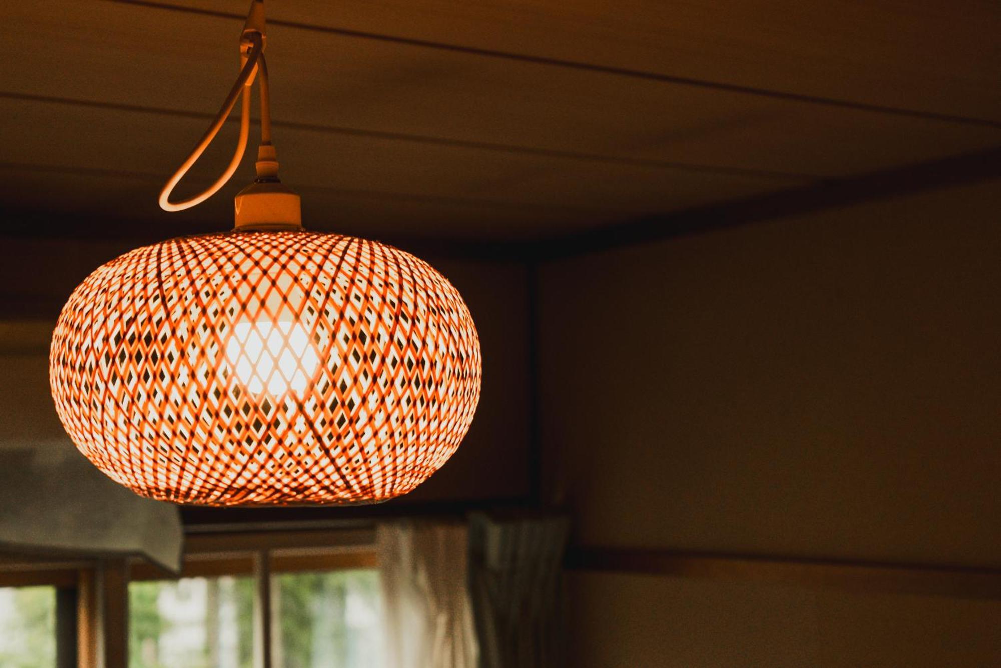 Hakuba Pension & Log Hotel Meteor Extérieur photo