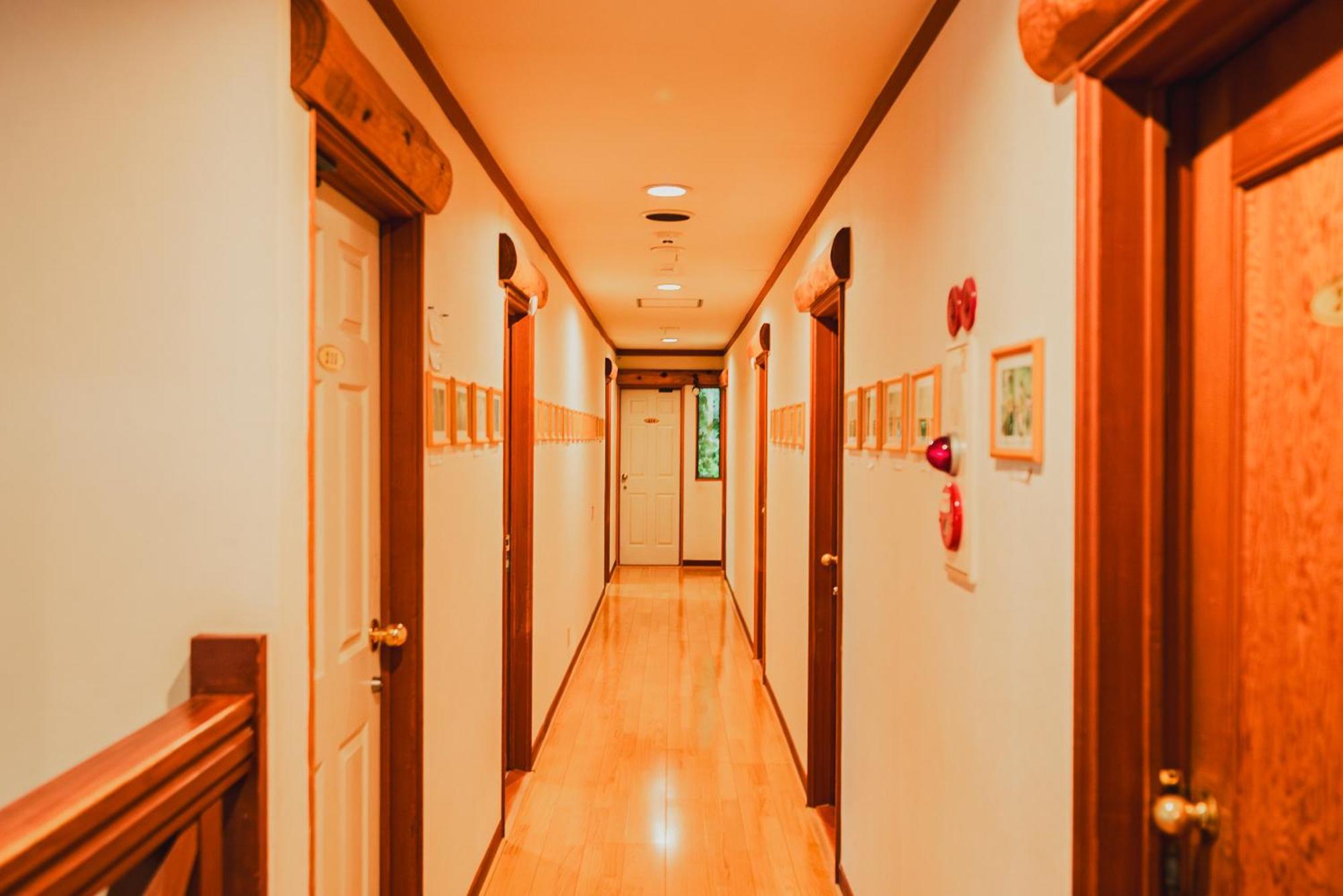 Hakuba Pension & Log Hotel Meteor Extérieur photo
